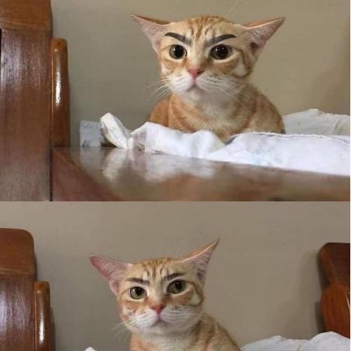 สมาชิกหมายเลข 3801328