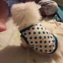 สมาชิกหมายเลข 2028149