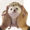 สมาชิกหมายเลข 4401690