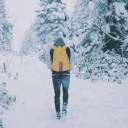 สมาชิกหมายเลข 2212450