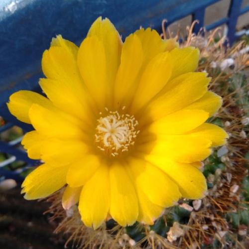 สมาชิกหมายเลข 3120915