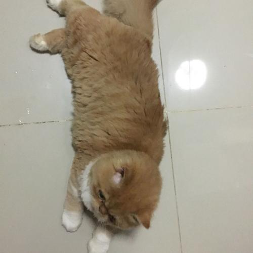 สมาชิกหมายเลข 5132833