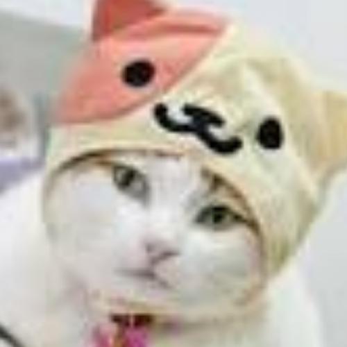 สมาชิกหมายเลข 3667858