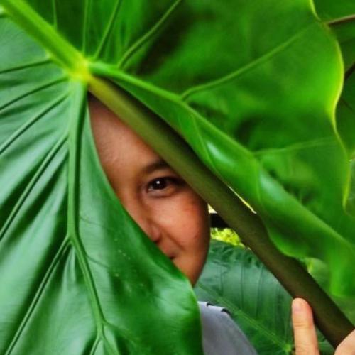 สมาชิกหมายเลข 1897566