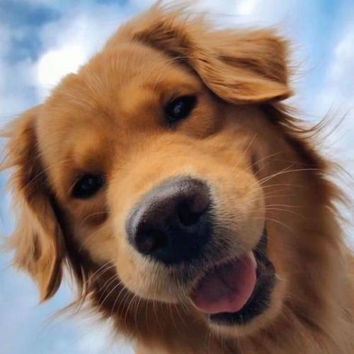 สมาชิกหมายเลข 2031700