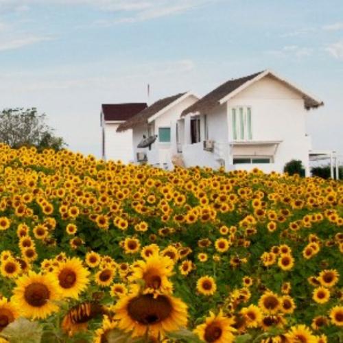 สมาชิกหมายเลข 6697814