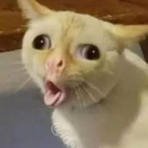 สมาชิกหมายเลข 6698016