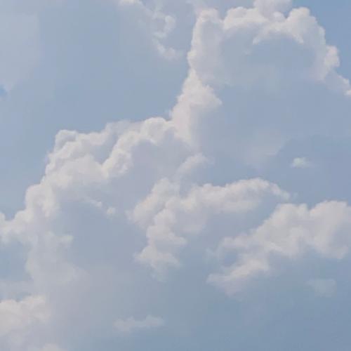 สมาชิกหมายเลข 3617284