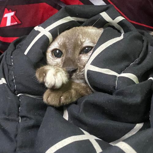 สมาชิกหมายเลข 4797091