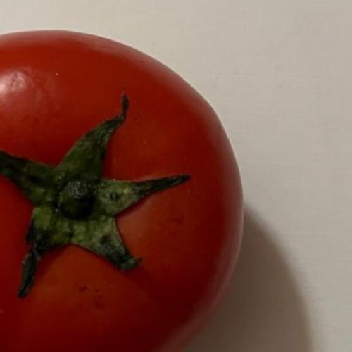 สมาชิกหมายเลข 8343778