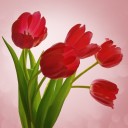 สมาชิกหมายเลข 1491930