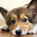 สมาชิกหมายเลข 2870428