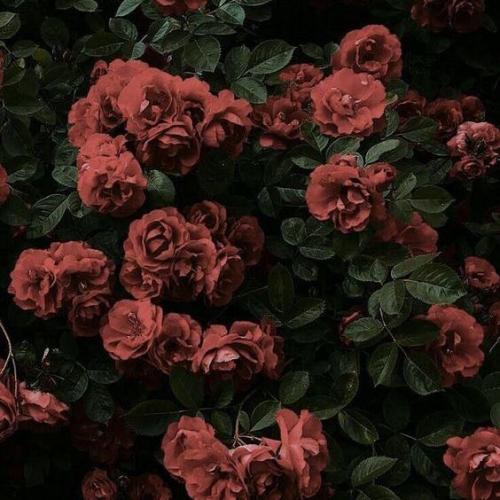 สมาชิกหมายเลข 4727946