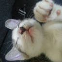 สมาชิกหมายเลข 5506785