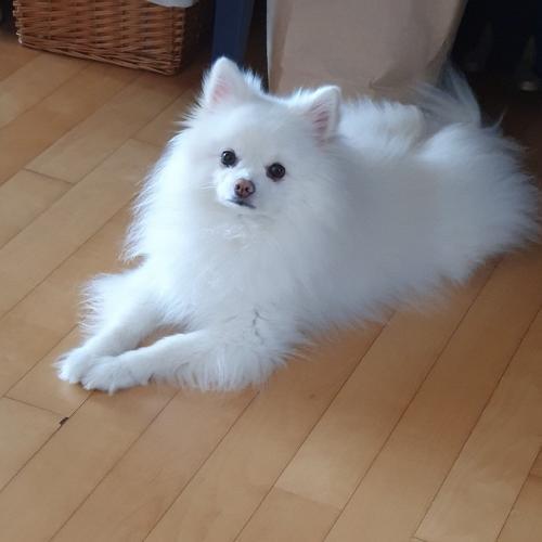 สมาชิกหมายเลข 4691863