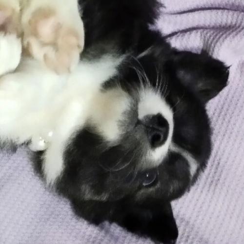 สมาชิกหมายเลข 6576774