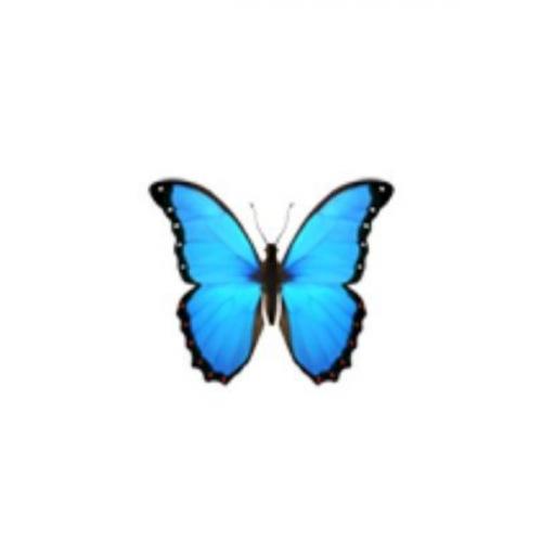 สมาชิกหมายเลข 7440829