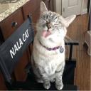 สมาชิกหมายเลข 4402738