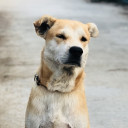 สมาชิกหมายเลข 2550946