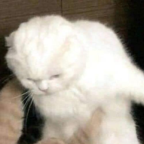 สมาชิกหมายเลข 5404874