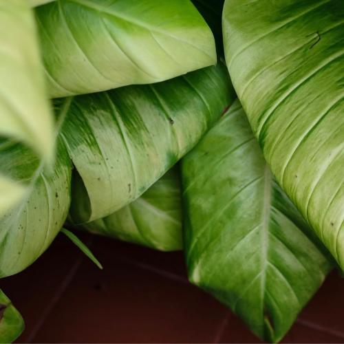 สมาชิกหมายเลข 6689271