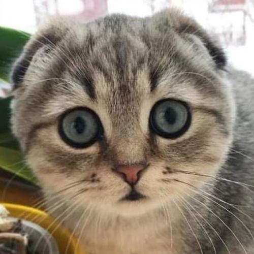 สมาชิกหมายเลข 6699050