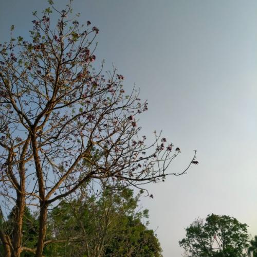 สมาชิกหมายเลข 7452978