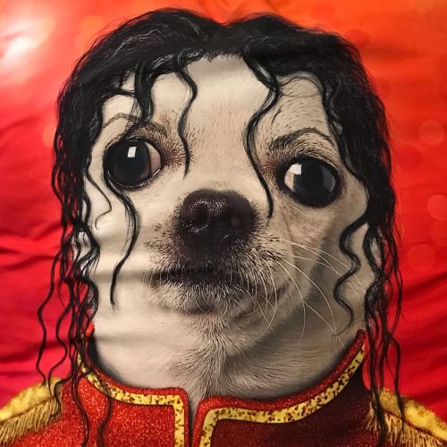 สมาชิกหมายเลข 1032922