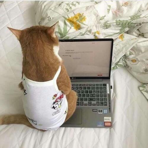 สมาชิกหมายเลข 1208472