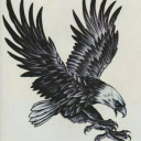 สมาชิกหมายเลข 4035684