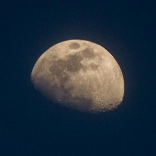 สมาชิกหมายเลข 4494449