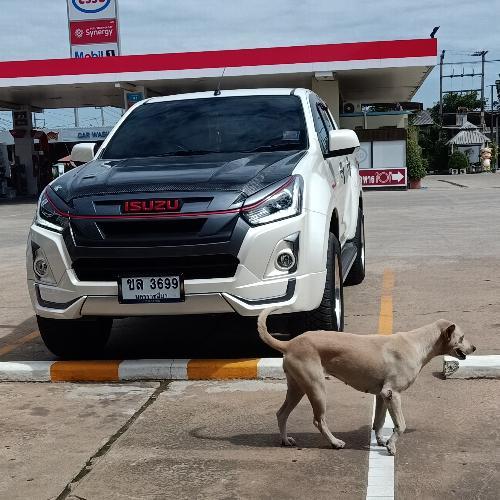 สมาชิกหมายเลข 6078012