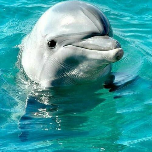 สมาชิกหมายเลข 6698200