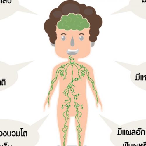 สมาชิกหมายเลข 6699536