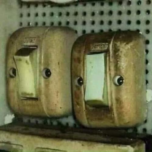 สมาชิกหมายเลข 6699682