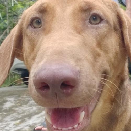 สมาชิกหมายเลข 8349893