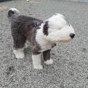 สมาชิกหมายเลข 3831166