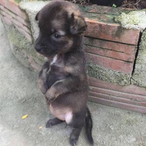 หอยทากเป็นตะคริว