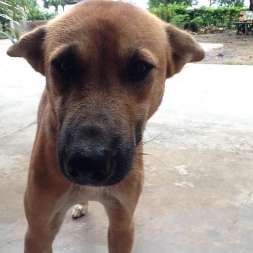 สมาชิกหมายเลข 3912833