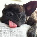 สมาชิกหมายเลข 938940