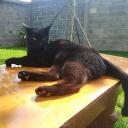 สมาชิกหมายเลข 4215099