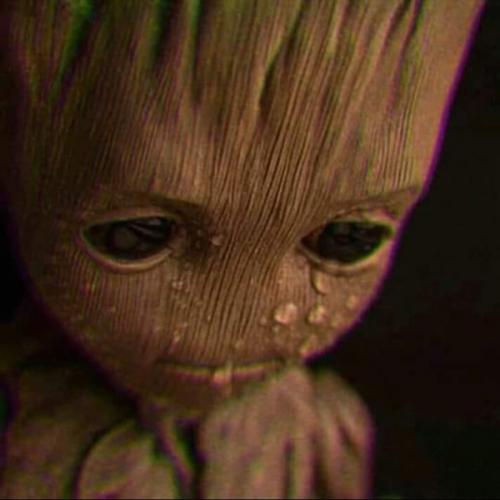 สมาชิกหมายเลข 5453570