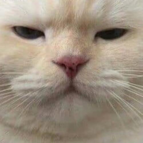 สมาชิกหมายเลข 6047371