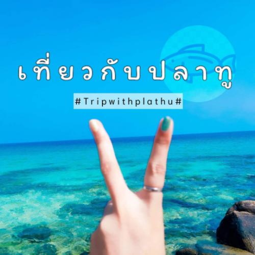 เที่ยวกับปลาทู