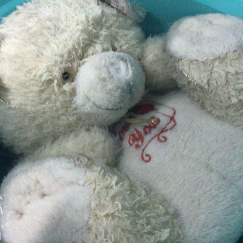 สมาชิกหมายเลข 7454938