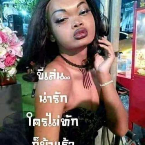 สมาชิกหมายเลข 1685776