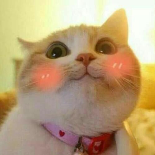 สมาชิกหมายเลข 4204505