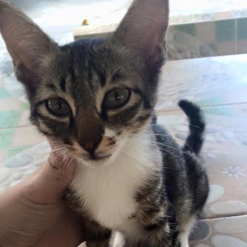 สมาชิกหมายเลข 4589493