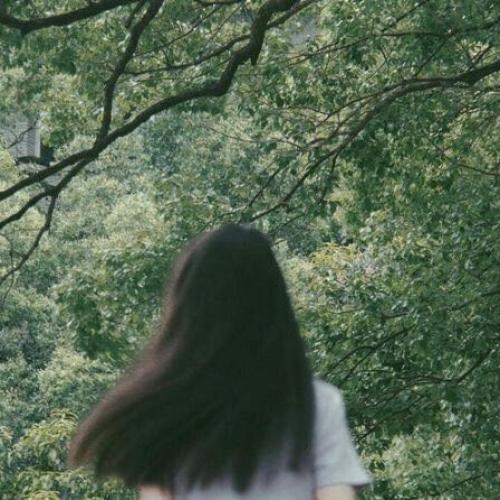 สมาชิกหมายเลข 4757261