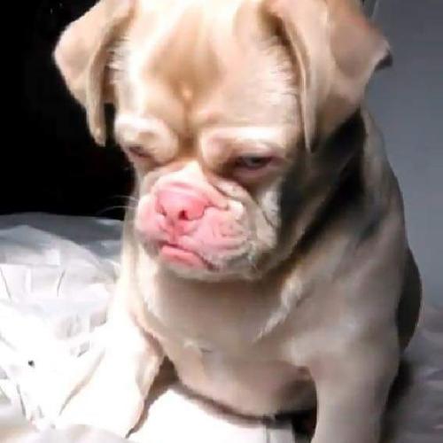 สมาชิกหมายเลข 4757417